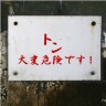 ㌧㌧画像