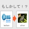 ・・・画像