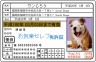 寝て、食べて、ご主人様にｽﾘｽﾘして。。。これぞまさにセレブ生活だぁ～～♪画像