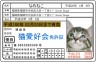なめ猫はやったんだよ画像