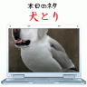 カワユス画像