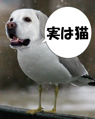 ふきだし - だったらおもしろいなｗ