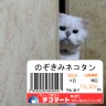 超可愛い画像