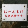 最近見かけません画像