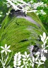 森の奥画像