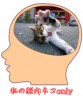 猫好き画像