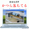 かつら画像