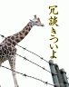 ぞうさんはもぉーっと好きです♪画像