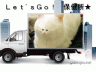飼い主に捨てられたニャ～画像