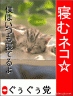 寝むネコ☆　僕に投票してニャン♪