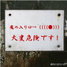どこが！！画像