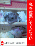 ハムハム選挙