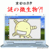 謎の微生物?!画像
