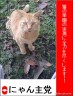 にゃん主党　発足！