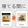 変身画像