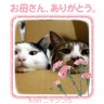 お母さん、いつもありがとう。もうすぐ母の日画像