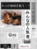 ネコ画像