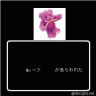 う画像