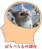 おいらの脳内画像