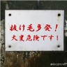 やば画像