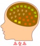 みなみの頭画像