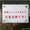 いいんですね。。。画像