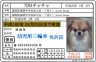 三輪車～乗れないけど免許欲しい。。ワン～ワン画像