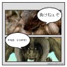 いやいやリス君負けるぞ！手ごわいもん（ハンターも）画像