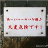 あなたの近くにも・・・・・・画像