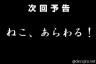 「ねことYシャツと私」予告画像