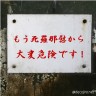 知らないし画像