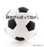 青春（部活：サッカー）画像