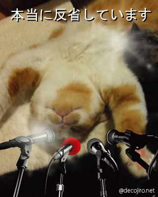 記者会見 - 反省しています