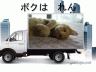 甘え顔画像