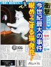 睨めっこする猫、発見！！画像
