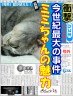 ミミちゃんの魅力画像