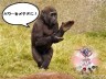 いいですともっ!!!画像