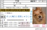 大豆の免許画像