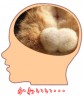 ねこたま画像