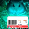 わ。こら。。。明日までに出してやらねばな画像