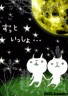 猫！？画像