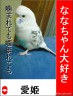 愛の片思い画像