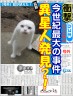 異星人？！画像