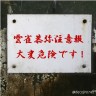 雲雀恭弥注意報画像