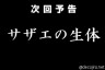 日曜の夕方・・・・・画像