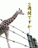 本社荷作り画像