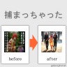 捕まっちゃった画像
