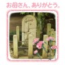 まじー？画像