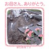 ニョン画像