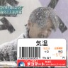 気温